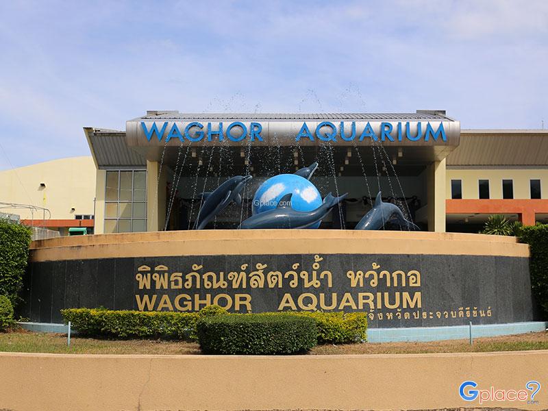 พิพิธภัณฑ์สัตว์น้ำหว้ากอWaghorAquarium