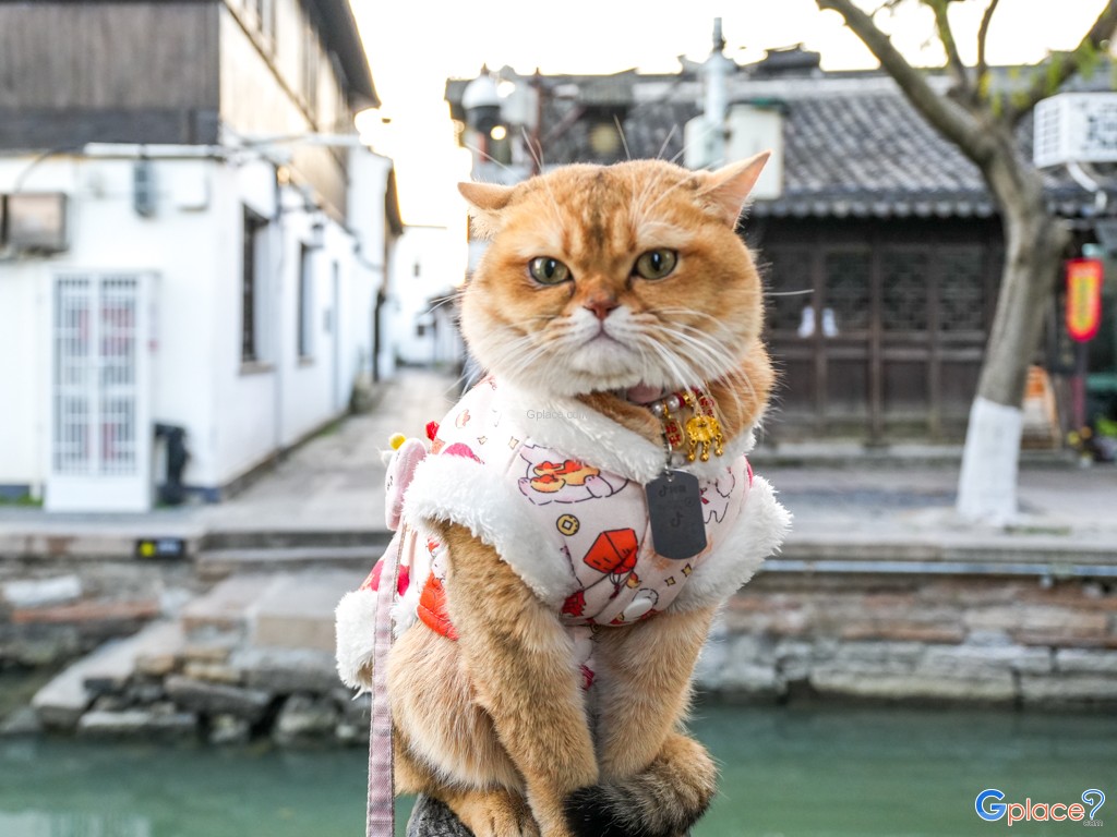 เมืองโบราณ ซุเจียเจียว