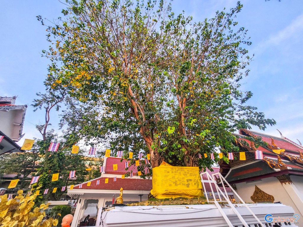 Wat Mahathat Bangkok