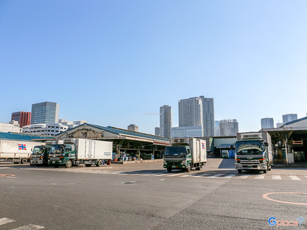 ตลาดปลาส่วนขายส่ง Tsukiji Wholesale Market