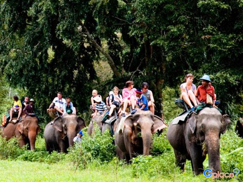 芭堤雅大象村（Pattaya elephant village）